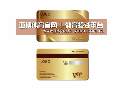 项目名称三