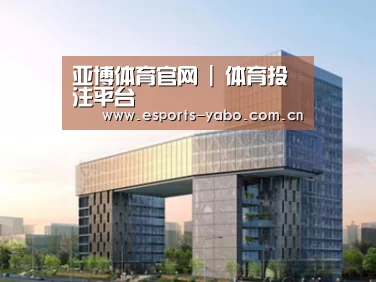 案例展示四