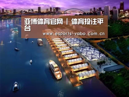 案例展示八