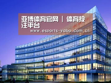 案例展示五