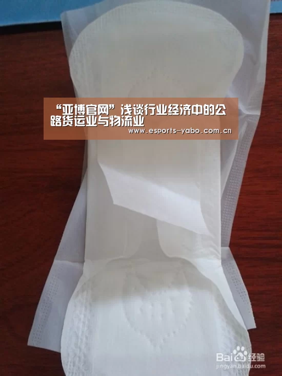 “亚博官网”浅谈行业经济中的公路货运业与物流业(图1) 亚博